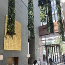 EAST GYM | 상하이 난징동루 와이탄 5성급 호텔 에디션 숙박(Edition Hotel), 로비, 조식, 수영장, 짐(gym)후기