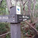 밤골샘터 네이버블로그