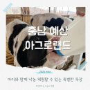 덕산농장 | 아그로랜드 입장료와 주차 정보 태신목장 아이와 낙농체험 후기