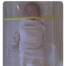 크린수유 | 조리원 후기) 베네라산후조리원 2주 지낸 후기👶🏻 베네라 선택한 이유, 조리원 선택기준🧐