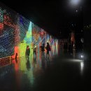 (주)제주케이여행사 | 학교 단체 수학여행 준비한다면? 반곡초등학교 후기 &amp; 리얼플랜제주 여행사 노하우 공개