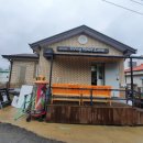 홍 헤어라인 이미지