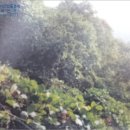 임곡보건진료소 이미지