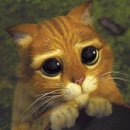 장화신은고양이 이미지