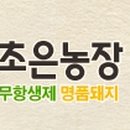 초은한우 이미지