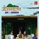 효리네 민박 이미지