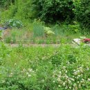 금봉산 농장 이미지