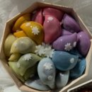 (주)춘천모터스 이미지