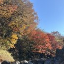 (주)제주가는길 | 천아계곡 | 가을제주 단풍명소, 가는길, 주차방법, 후기