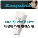 아산인셀덤
