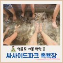 씨사이드파크 족욕장 화장실 | 영종도 씨사이드파크 무료 해수족욕장 다녀온 후기 (준비물/주차장)