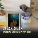 바람난고양이 | 펫 공기청정기 추천 고양이 털 필터 하니웰 1년 후기