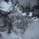 [특별산행신청]제 171차 (4기-15, 2010년 01월 23일) 제주 한라산-눈꽃산행 이미지