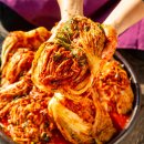 윤수정의원 | “김치의 맛·영양은 ‘이것’이 좌우”… 김장철, 알아둬야 할 것