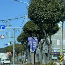 셰프문경희 | 쉐프 문경희 / 경남 사천 맛집 / 경남 복요리 전문점 / 삼천포 물회 / 복어샤브샤브 / 복어불고기