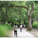 추정리 경로당 네이버블로그
