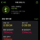 크로스핏 라이노 이미지