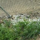 대주 농장 이미지