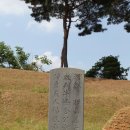 김지남 비갈 및 묘 네이버블로그