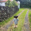 제일튼튼연합의원 이미지