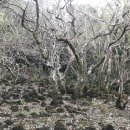 자연파크 이미지