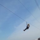 마량 5일시장 이미지