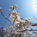 화담 곤지암 펜션 이미지