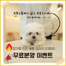 케이지메디칼 | 구미강아지분양 건실한 분양 후기