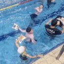 드림태권도 스포츠클럽 이미지