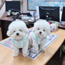 더푸짐 | 과천 더푸짐 단호박 정식 후기｜“밥은 먹고 일해” 친구의 마음이 고마웠던 날