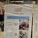 리틀컬쳐