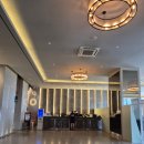 토모인터내셔널 이미지