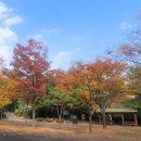 단풍약국 이미지