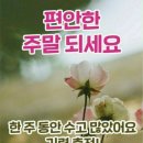 해피주말 .가을.이미지 이미지