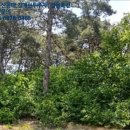 송동면 부석마을 이미지