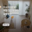 통일 카인테리어 | [제주] 애월 신상 감성숙소 독채 펜션 슬로우캣 너무 귀엽고 예쁘고 다해...