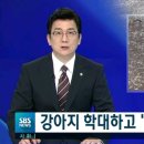 강아지 목 밟고, 각목 폭행하고서 "때렸지만 학대 아냐" 이미지