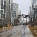 yes예스공인중개사사무소 이미지