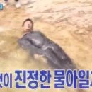 베니베럼 이미지