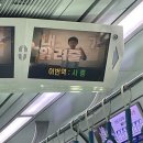 글램핑의 끝판왕 가평 글램트리리조트 뚜벅이 후기
