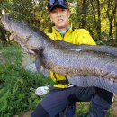 만식이네 이미지