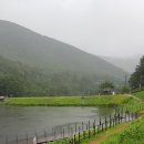 김진수농장 이미지