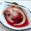 바다의 만찬 이미지