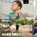 정우배농장 스포츠동아