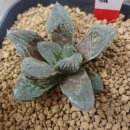 청성농협 이미지