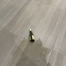 서초쇼핑 | [양재/강남/서초] &#39;스시아리가&#39; 디너 후기 | 콜키지 프리 | 더들리 추천 오마카세