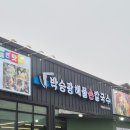 박승광해물손칼국수 아산점 | 아산 신정호 신선한 해물 칼국수 맛집 &#39;박승광해물손칼국수 아산점&#39;
