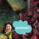 자연그대로 체질