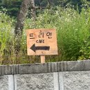 해피한 멍 | 평택 애견동반 카페 트리인 위치 주차 메뉴 방문 후기