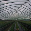 샛별농장 이미지